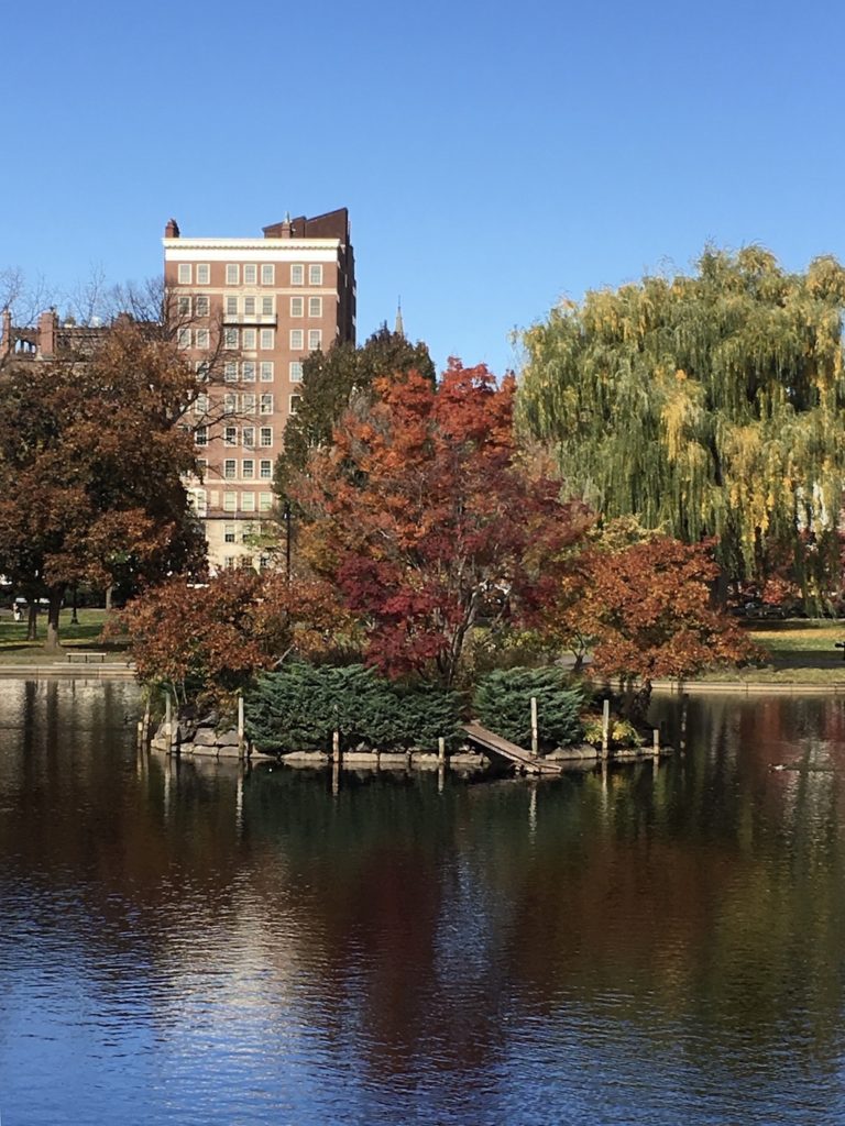 Boston Commons & Public Gardens