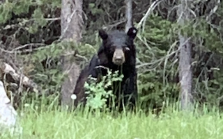 Grand-Teton-National-Park