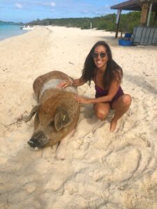 swimming-with-the-pigs