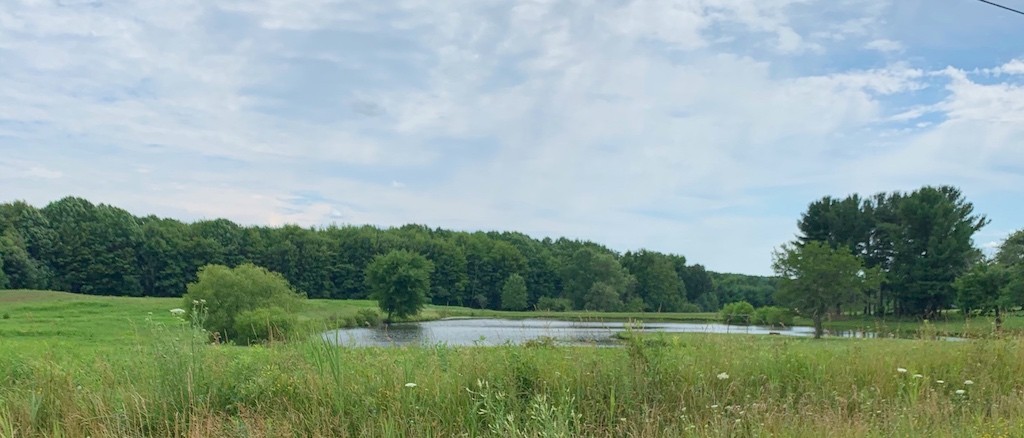 view-on-covered-bridge-drive