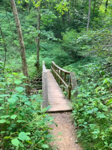 mineral-springs-trail