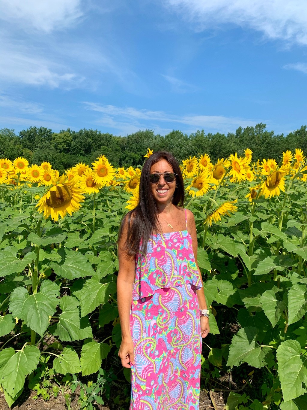 sunflower-field