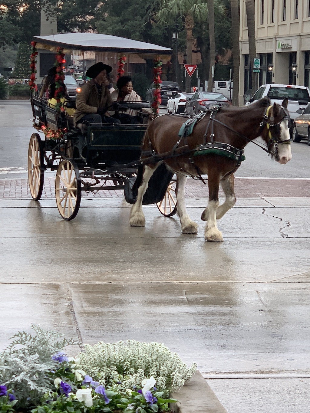 horse-drawn-carriage