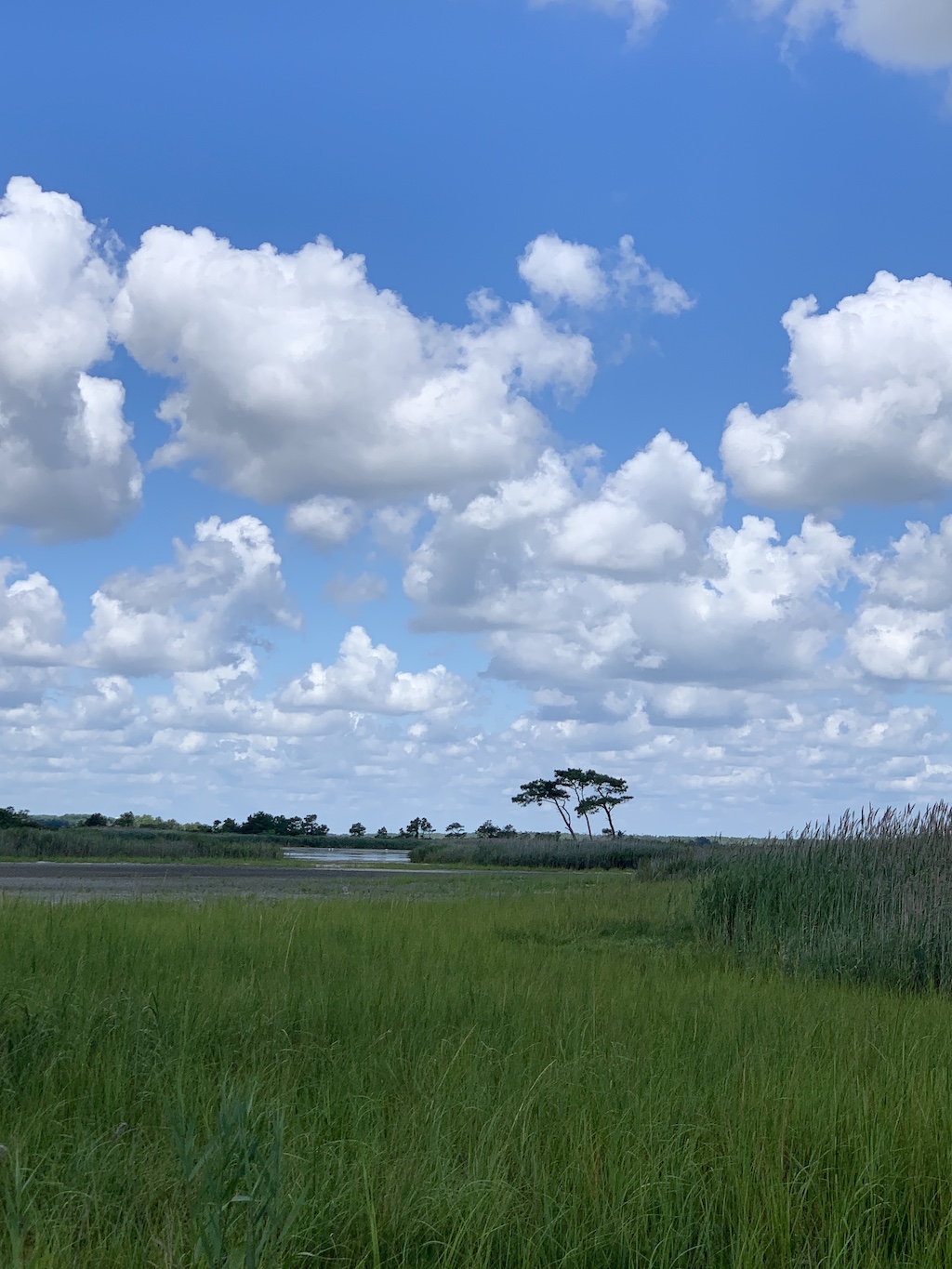 Gordons-Pond